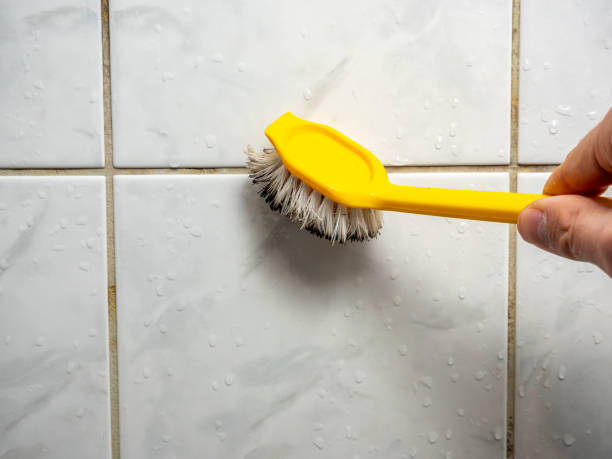 Best Office Mold Removal Services  in Stokesdale, NC