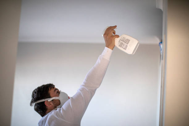 Best Residential Mold Removal  in Stokesdale, NC