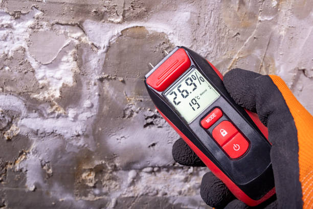 Best Mold Damage Repair  in Stokesdale, NC