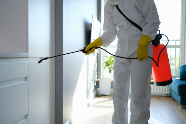 Mold Testing and Removal in Stokesdale, NC