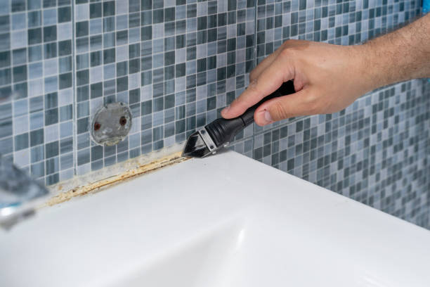 Best Mold Removal and Inspection  in Stokesdale, NC