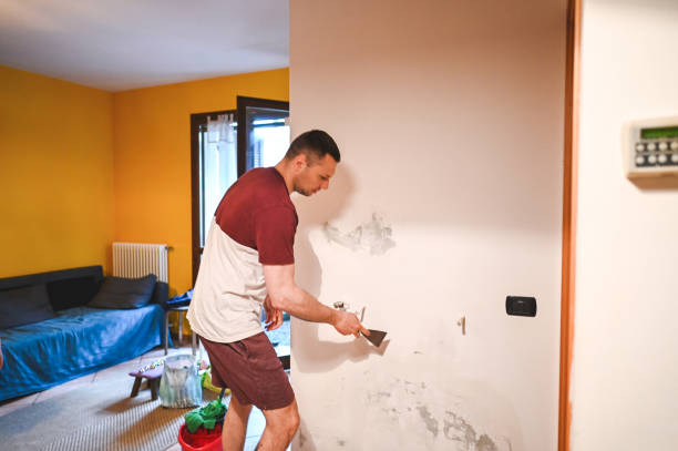 Best Attic Mold Removal  in Stokesdale, NC